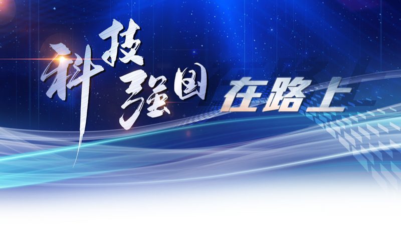 知识图谱质量评估：揭秘评估服务的核心要素