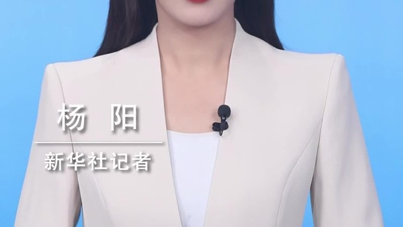 SaaS平台排名解析：揭秘前十类别背后的关键要素