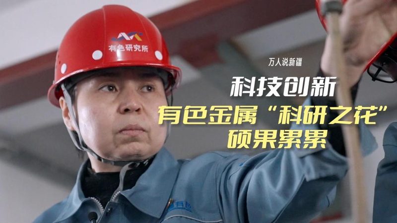 数据可视化配色方案：从设计到应用的完整步骤
